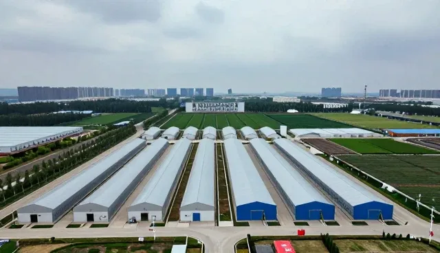 管网工程选型中成本控制的关键考量